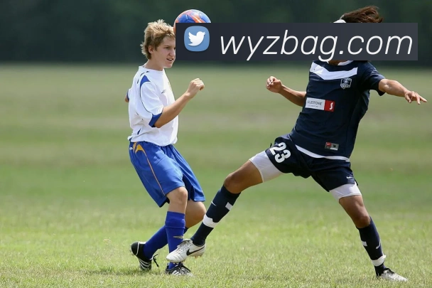 ag百家乐平台生态图